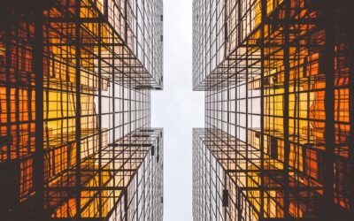 VAT-registered firms start using digital links under MTD