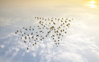 The Growth Plan 2022