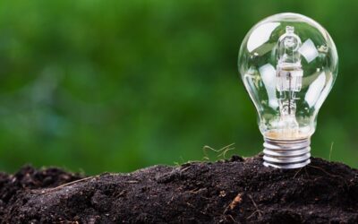 Spring Budget 2023 – Energy Price Guarantee