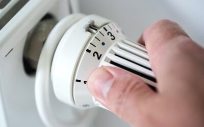 Scottish Winter Payments Support
