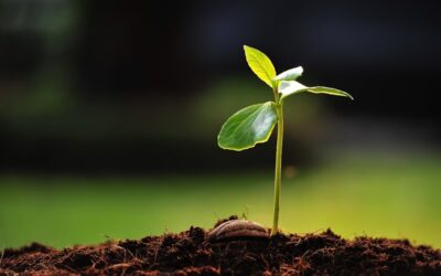 Starting a new business?