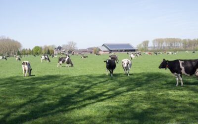 Overview of IHT agricultural relief