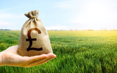 Do you have additional income streams?