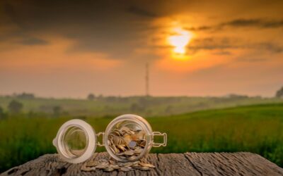 Check your State Pension forecast