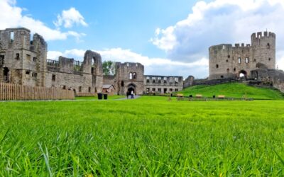 Inheritance Tax and CGT relief for national heritage assets