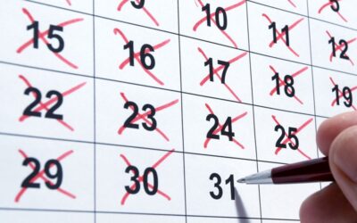 Tax Diary November/December 2025