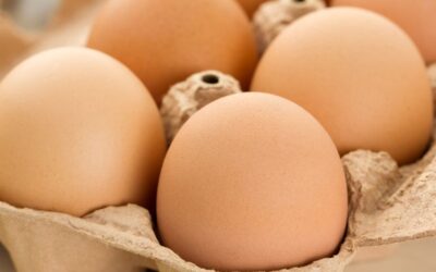 Risks of engaging employees as sham contractors