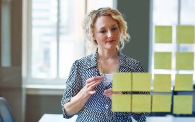 Understanding the responsibilities of company directors