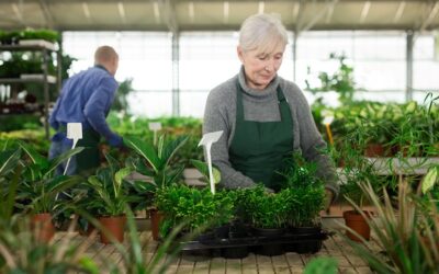 The rise of the silver economy