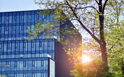 Have you overlooked this valuable capital allowance?
