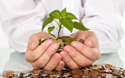 Benefits of SEIS and EIS Advance Assurance
